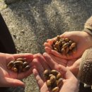 Myong이네 이미지