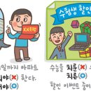 [220] 치르다 이미지