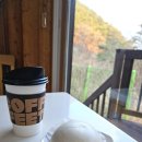 야생화펜션 | 대관령 숙소 추천 대굴령야생화마을펜션 힐링 숙박 후기