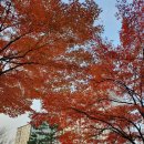 책나무작은도서관 이미지