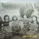 창오초등학교 이미지