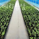 운천농장 이미지