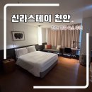 스테이천안 | 천안 가성비 숙소 추천 신라스테이 천안 스탠다드 더블 숙박 후기