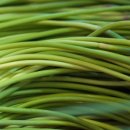 수이재1928 이미지