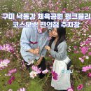 뒷구미 어린이공원 | 구미 낙동강 체육공원 핑크뮬리 코스모스 편의점 주차장