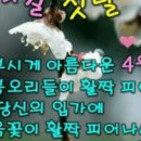 향기4로 이미지