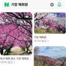 이번 엄마 생신은 료칸스타일 숙소에서~ 이미지