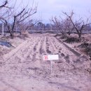 삼구농장 이미지