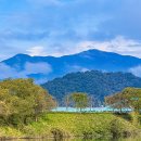 강가의아침 이미지