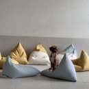 바나개 애견유치원 호텔 이미지