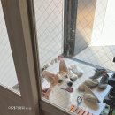 영자클럽신관점