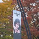 유진레코드 | 251031 아이브 월드투어 콘서트 SHOW WHAT I AM 후기