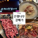은행나무갈매기 | [광주] 도산동 소갈비살 고기 맛집 은행나무갈매기 송정4호점 내돈내산 후기