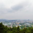 농림축산본부 ~ 이지더원 이미지