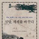 뉴설탕