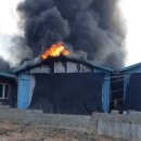 완진농장 이미지