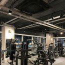 라인핏피티 이미지