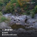 초입새 계곡 이미지