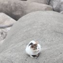 하루민박 이미지
