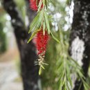 죽림선원