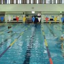 보령국민체육센터 수영장 이미지
