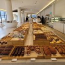 [동탄 포근 베이커리(pogn bakery) 빵순이 카페 데이트] 후기
