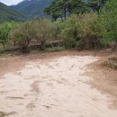 피그스토리 이미지