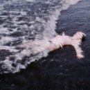 가재미로 이미지