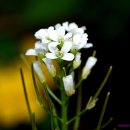 풍경(오월의 이야기 이미지