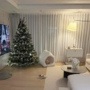 패밀리 하우스 | 아우스리푸 인포멀 하우스 / 7키로 강아지 패밀리 사이즈 구매후기 / 사이즈 구매팁 🚪