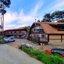 오서산 늘봄 가족독채펜션 | 오서산늘봄펜션 : 오서산통나무독채펜션 홍성독채펜션