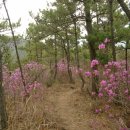 돌산주유소