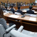 선명복사 이미지