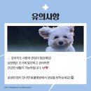 송림동물병원 이미지