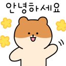 사천우주항공부동산공인중개사사무소 이미지