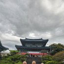 보광 Daum카페