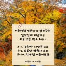 호인행정사무소 | 여행작가가 알려주는 설악산에 버금가는 서울 단풍 명소 Top3 - 북한산 대남문 코스, 도봉산 망월사...