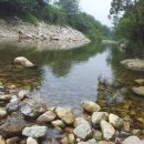 수전매운탕 이미지