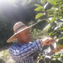 턱골농장 이미지