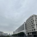 커튼블라인드몰 | [리뷰] 동대문 커튼 시장 암막 커튼과 블라인드 방문 상담 결제 후기 ‘인심커텐’