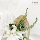 수수꽃방 | 대전 관저동꽃집 예서꽃방 / 관저동 백합 화이트꽃다발