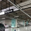 롯데 부산 파코라반베이비 | 롯데백화점 블루독베이비 조카선물 아기 선물 어린이 선물