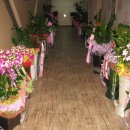 필드스크린골프 이미지