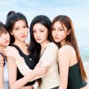 한성에프아이오닐 이미지