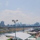 장평근린공원 화장실 | [서울] 2026 동대문구 트로트X봄꽃축제, 주차, 일정, 실시간 벚꽃현황,