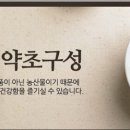팔도건강식품