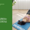 트레이닝브릿지 이미지