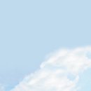 제주하와이호텔 이미지