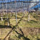 쾌청농장 이미지