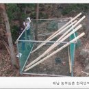 해마루힐링숲민박 이미지